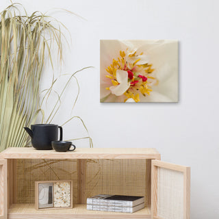 Eye of Peony Floral Nature Photography Canvas Wall Art Print, 16" X 20"