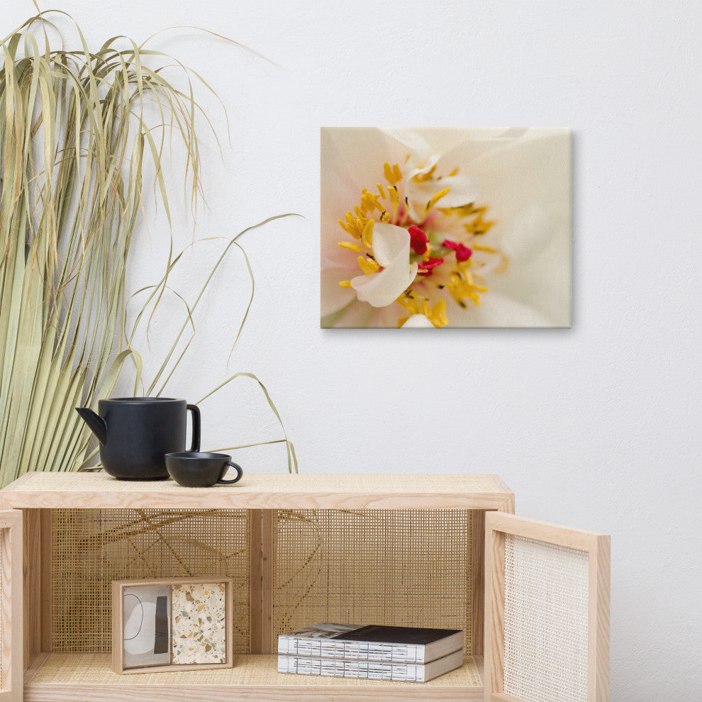 Eye of Peony Floral Nature Photography Canvas Wall Art Print, 16" X 20"
