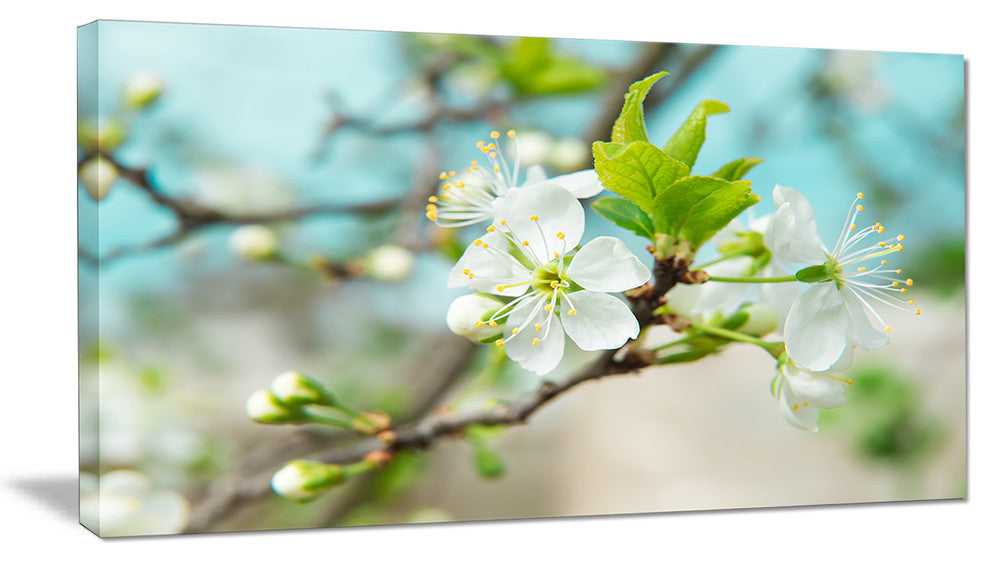 Beautiful Cherry Blossom n Spring, Floral Canvas Art Print, 40x20