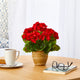 11" Geranium Artificial Plant, Ceramic Planter UV Resistant, Indoor/Outdoor