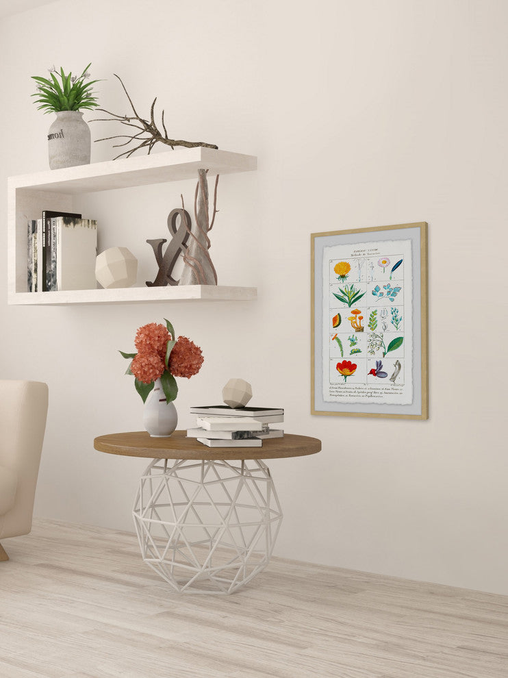 "Botany French 2" Framed Painting Print, 16"x24"