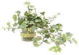Ivy in Glass Vase with Rope