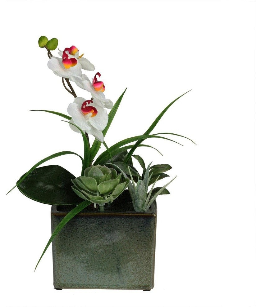 12" Spring Time Easter Orchid and Succulents Artificial Floral Arrangement