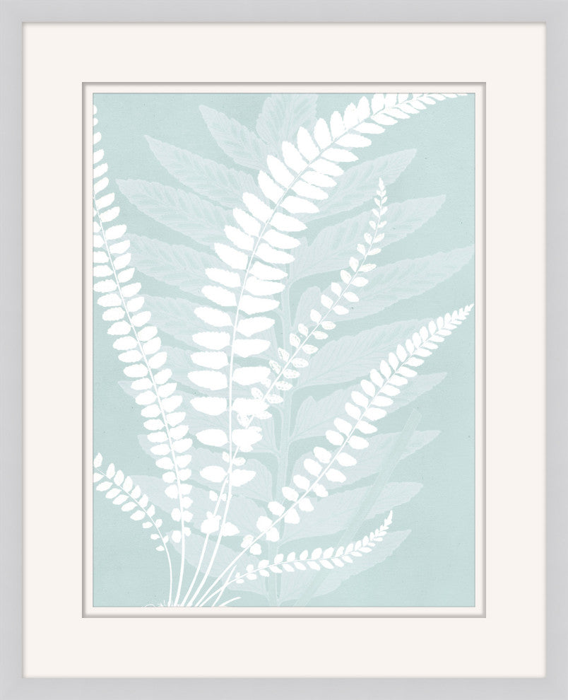 Delicate Fern Assimilation 2, Giclee Reproduction Artwork
