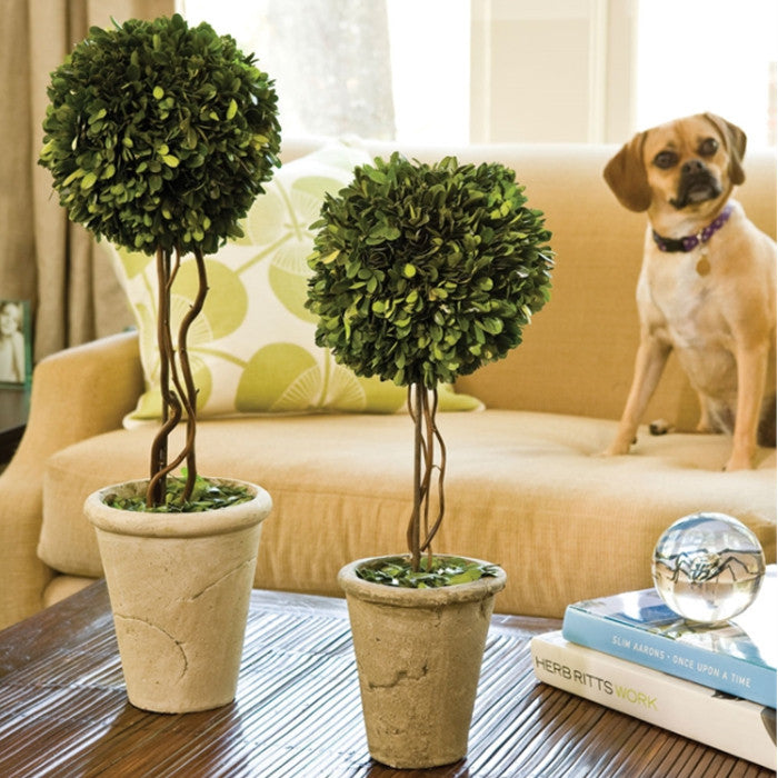 Elegant 23 in Tree Ball SphereTopiary in Pot Boxwood Greenery Faux Floral Single