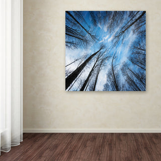 Philippe Sainte-Laudy 'Blue Crunch' Canvas Art, 35"x35"