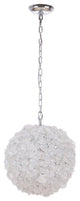 1 Light Pendant w/ Chain