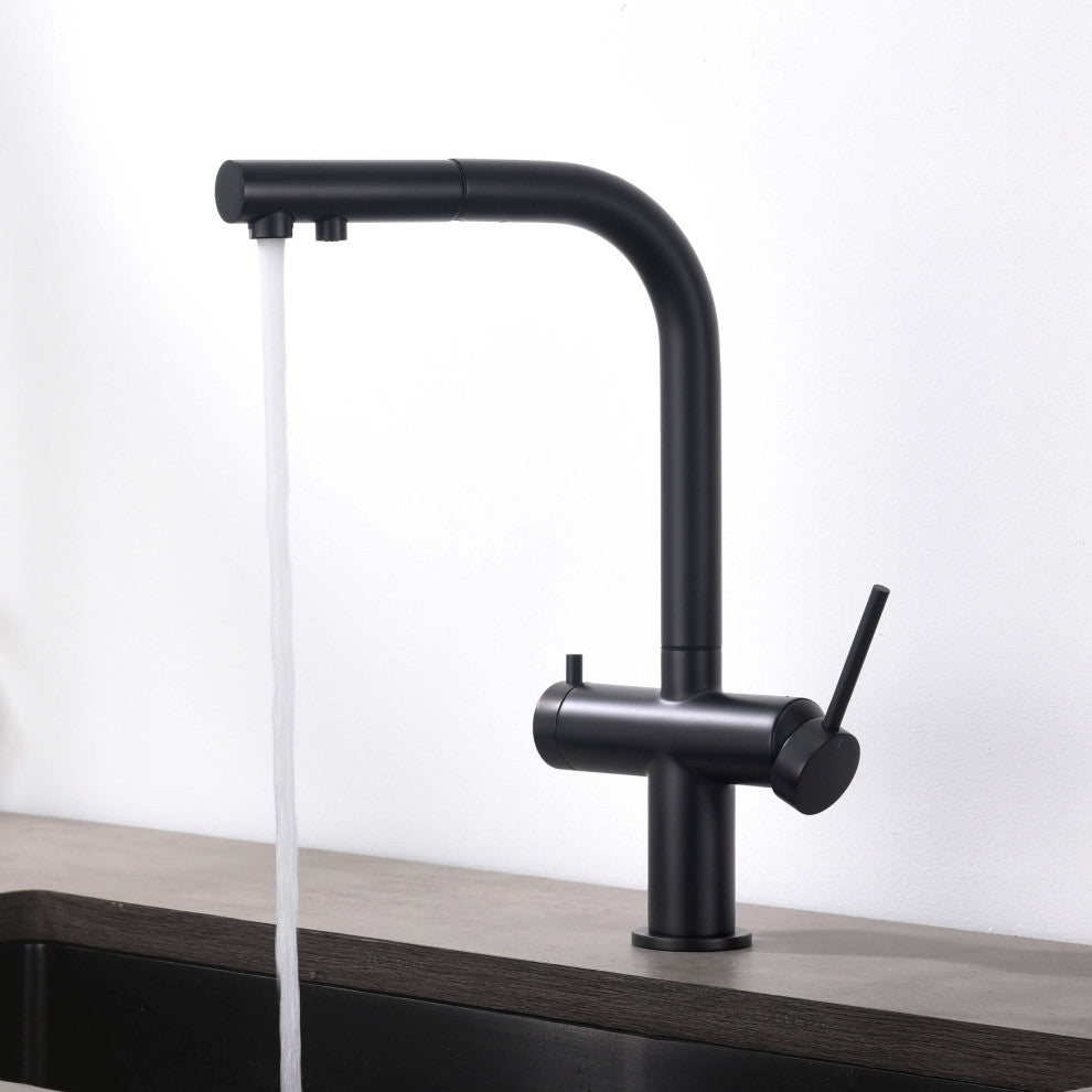 Circular 2-in-1 Water Filter Kitchen Pull Out Faucet, Matte Black