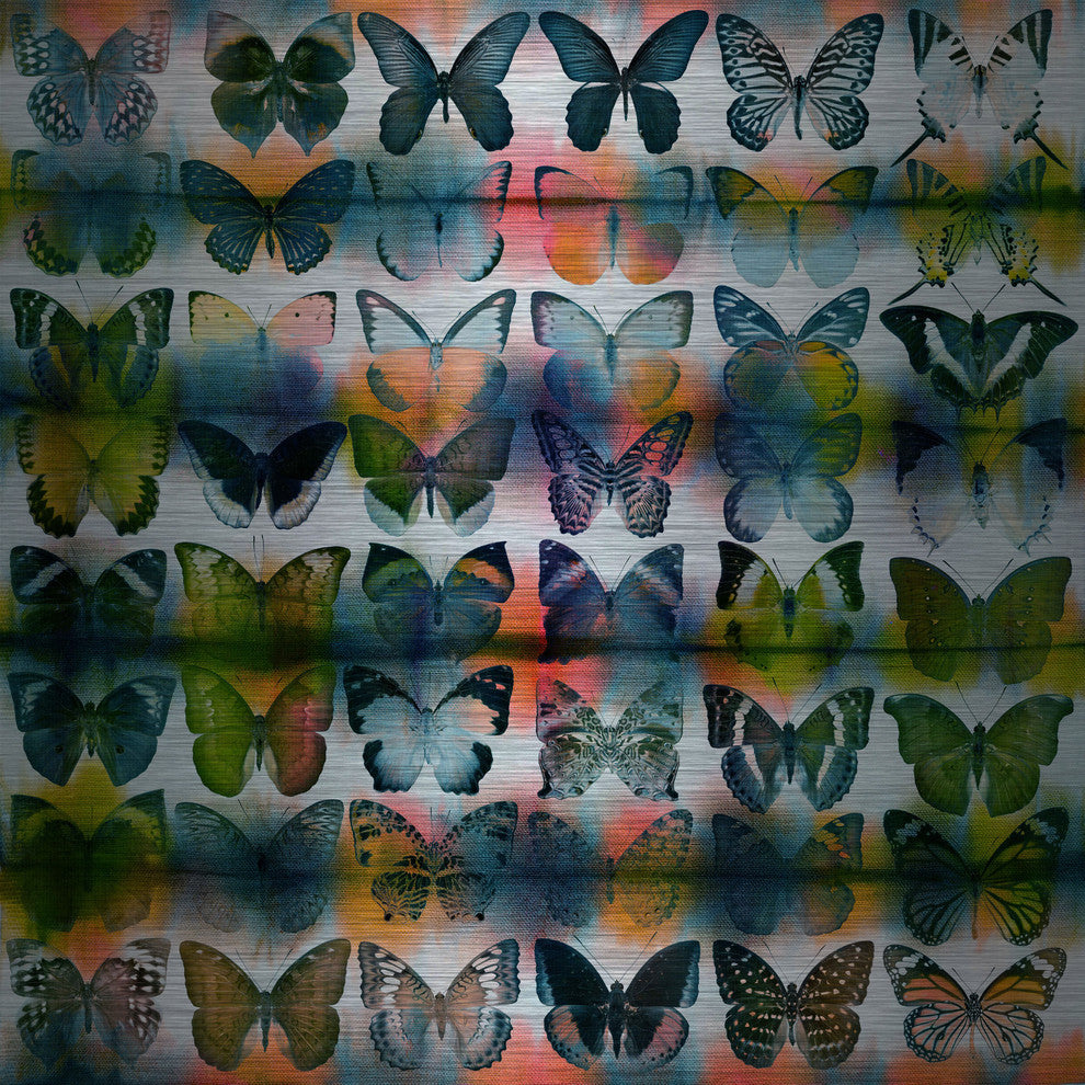 "Butterflies Squared" UV Ink Print on Brushed  Aluminum, 40"x40"