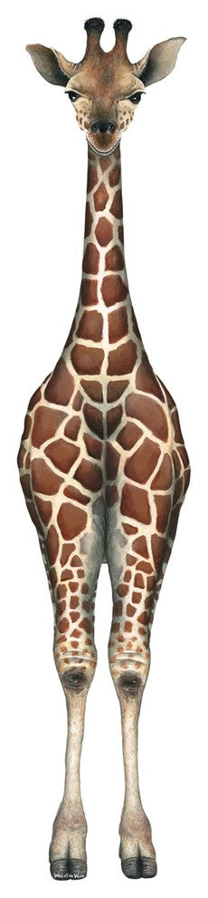 Baby Giraffe Peel and Stick Applique 70917