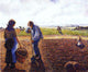 Camille Pissarro Peasants in the Field Eragny Gallery Wrapped Canvas Print
