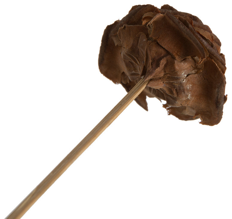 Vickerman Natural Botanicals 1.57" Cedar Rose, Natural, 18"