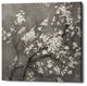 "White Cherry Blossom I on Gray" Giclee Canvas Wall Art, 37"x37"