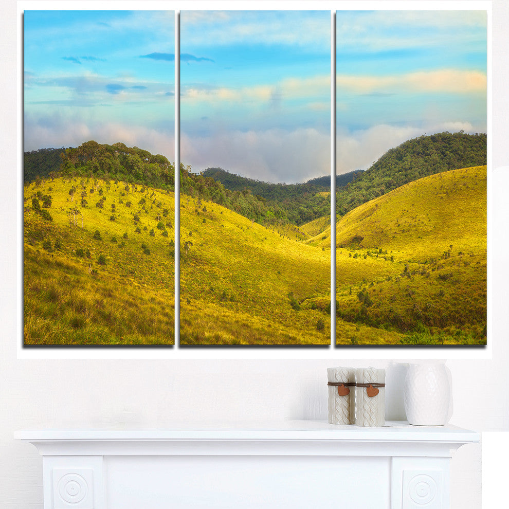 "Horton Plains Under Blue Sky" Oversized Metal Wall Art, 3 Panels, 36"x28"