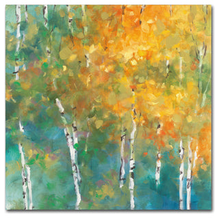 Julia Purinton 'Confetti II' Canvas Art, 24" x 24"