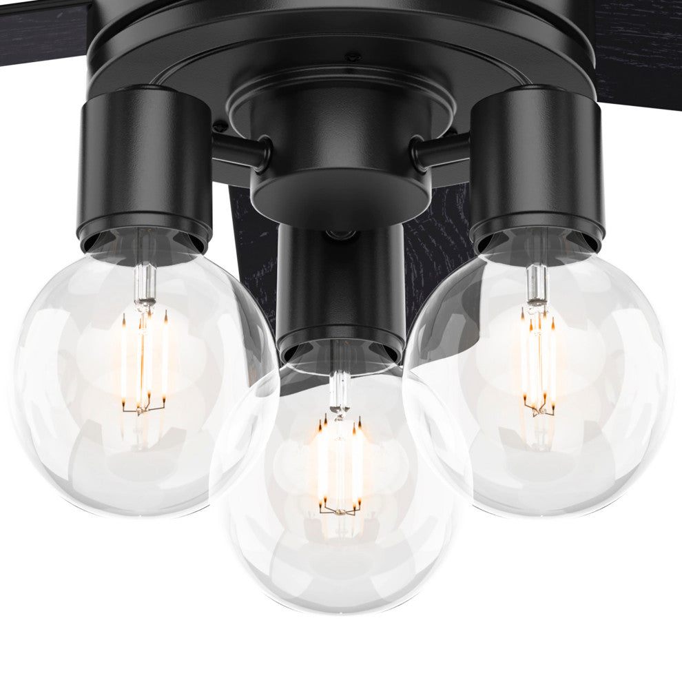 Hunter 44" Hardwick Matte Black Ceiling Fan With LED Light Kit and Remote