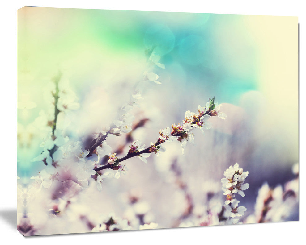 White Cherry Blossoming Flowers, Floral Canvas Art Print, 40"x30"