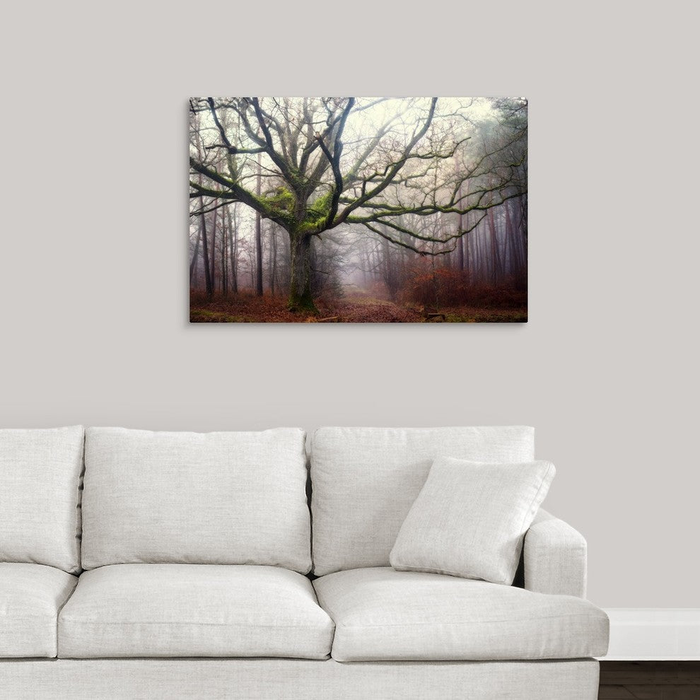 "The old octopus oak tree" Wrapped Canvas Art Print, 36"x24"x1.5"