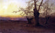 Senior Alfred De Breanski A Spring Evening Burnham Beeches Wall Decal