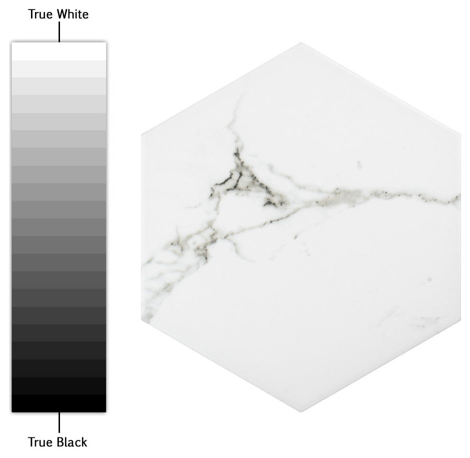 Timeless Hex Calcatta Porcelain Floor and Wall Tile