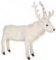 Reindeer White 15"H