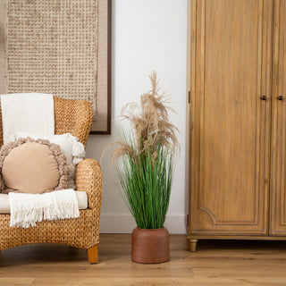 Lifestyle shot showing the plant in a room with furniture for scale.