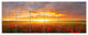 Poppy Field under Bright Sunset, Landscape Canvas Art Print, 70"x28", 6 Panels
