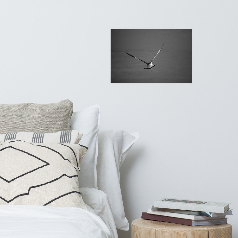 Flying Free Black & White (Coastal Bird) Wildlife Photo Unframed Wall Art Print, 12" X 18"