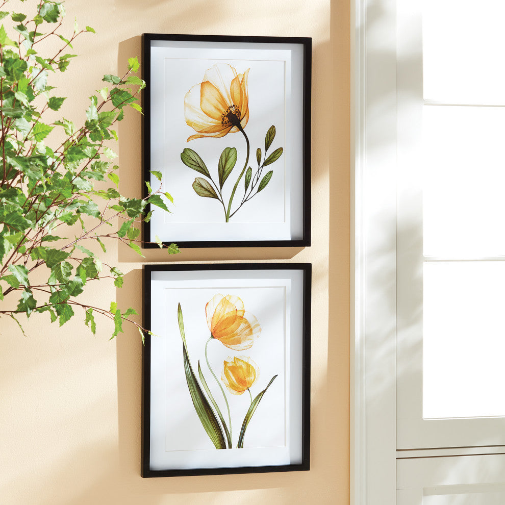 X-Ray Botanical Prints, Set of 2
