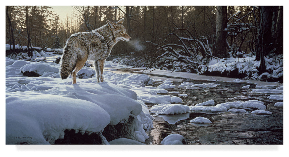 Ron Parker 'Winter Creek Coyote' Canvas Art, 19"x10"