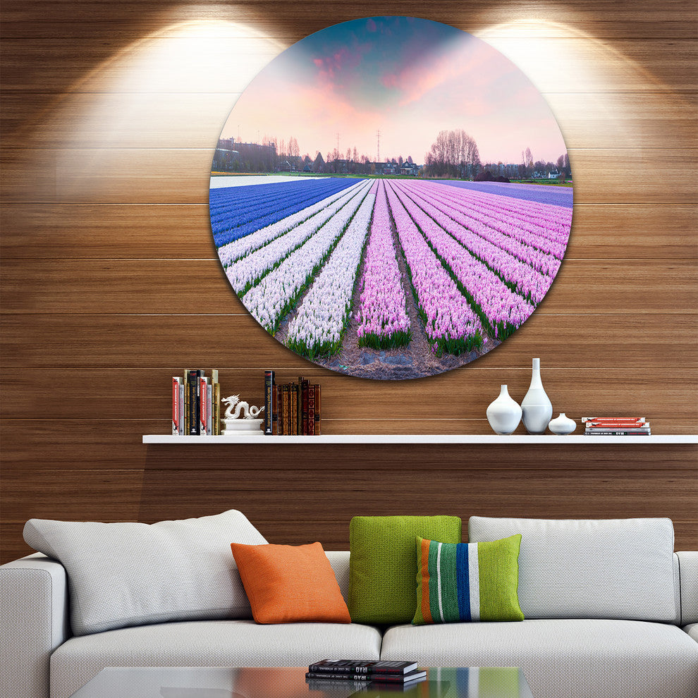Colorful Hyacinth Flowers At Sunrise, Photo Round Wall Art, 23"