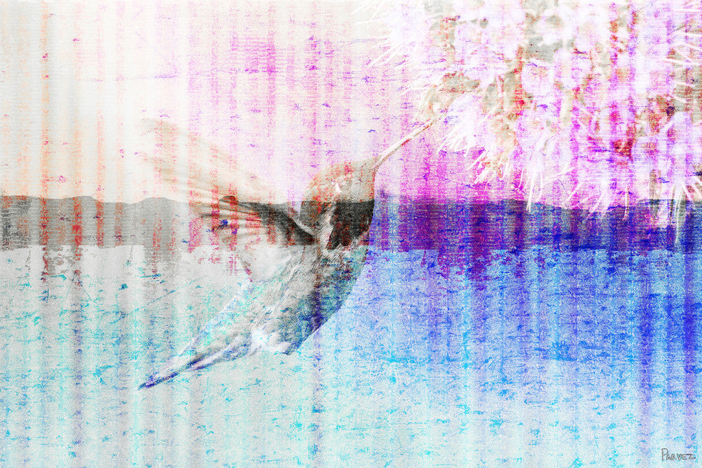 "Humming Bird" Fine Art Canvas Print, 36"x24"