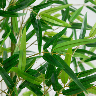 Close-up cropped view of bamboo leaves/stems on white background (alternate_white_close).