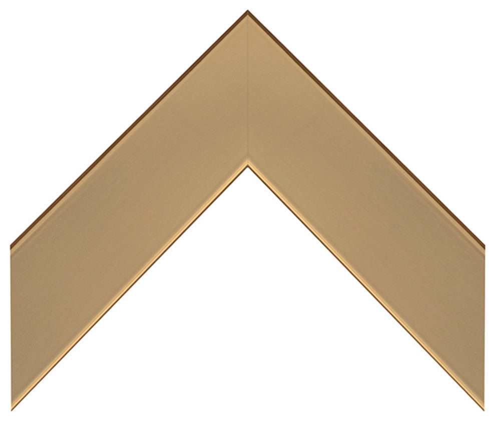 Meade Framed Wall Mirror, Champagne Gold, 20"x48"