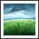 "Barley Field" Framed Digital Print by Floriana Barbu, 44x44"