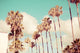 Marmont Hill, "Road to California" by Morgan Hartley on Wrapped Canvas, 45x30