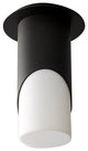 Ellipse Ceiling Light in Black