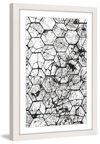 "Honeycombs" Framed Art Print