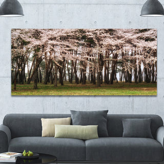 Cherry Blossoms in Pine Tree, Large landscape Canvas Art Print, 60"x28"