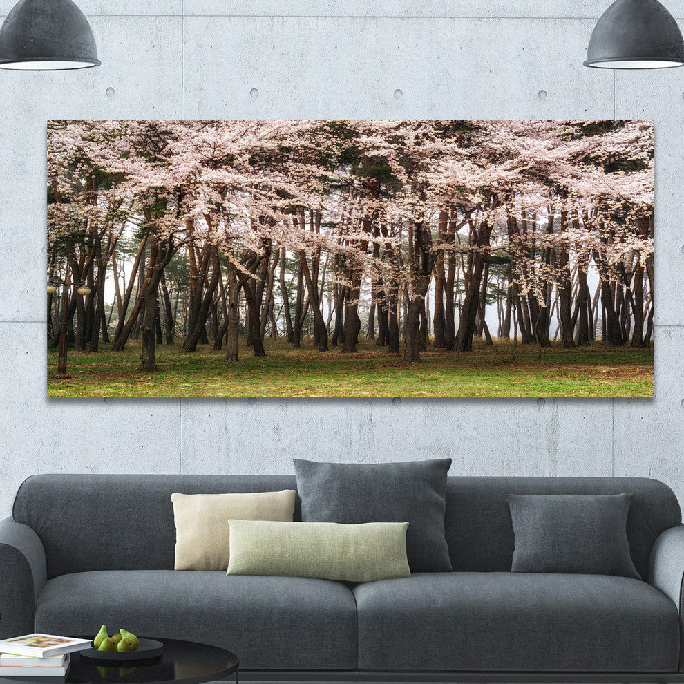 Cherry Blossoms in Pine Tree, Large landscape Canvas Art Print, 60"x28"