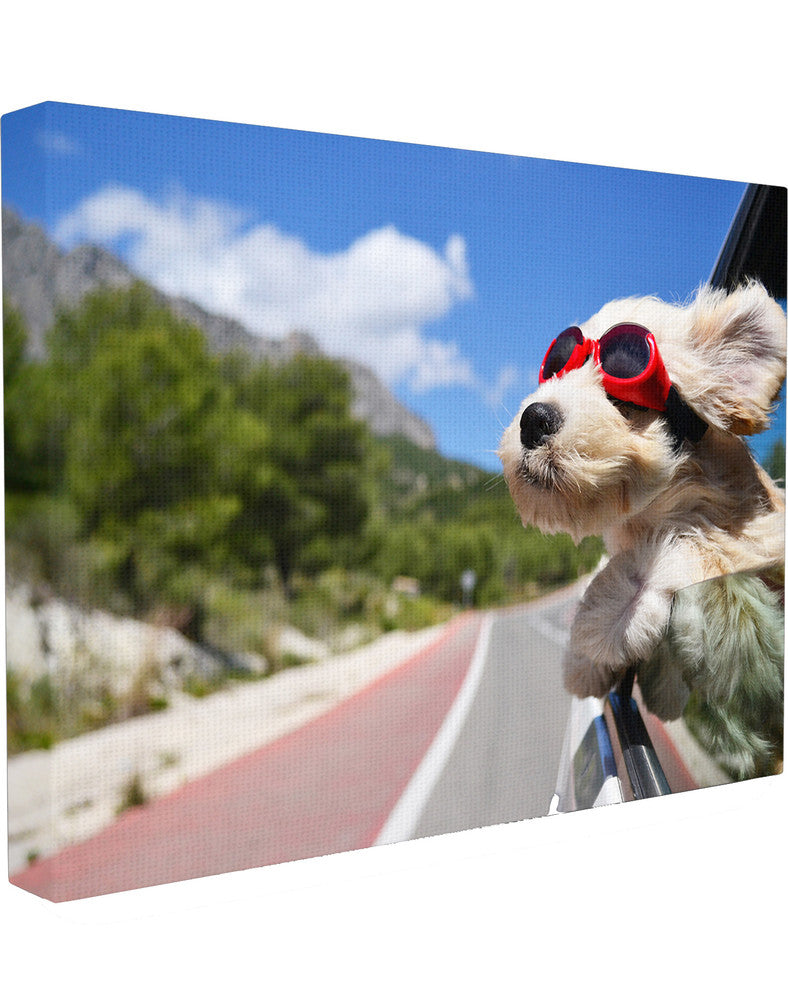 Road Trip Happy Dog With Red Sunglasses, Canvas, 24"x30"