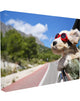 Road Trip Happy Dog With Red Sunglasses, Canvas, 24"x30"