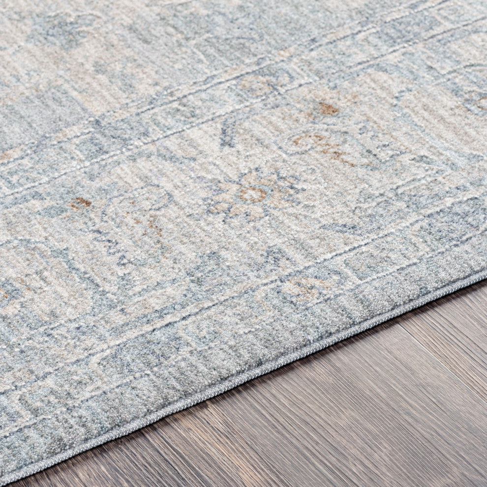 Avant Garde AVT-2301 Traditional Gray/Blue 10'x14' Area Rug