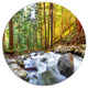 Creek Flowing Through Forest, Landscape Disc Metal Artwork, 11"