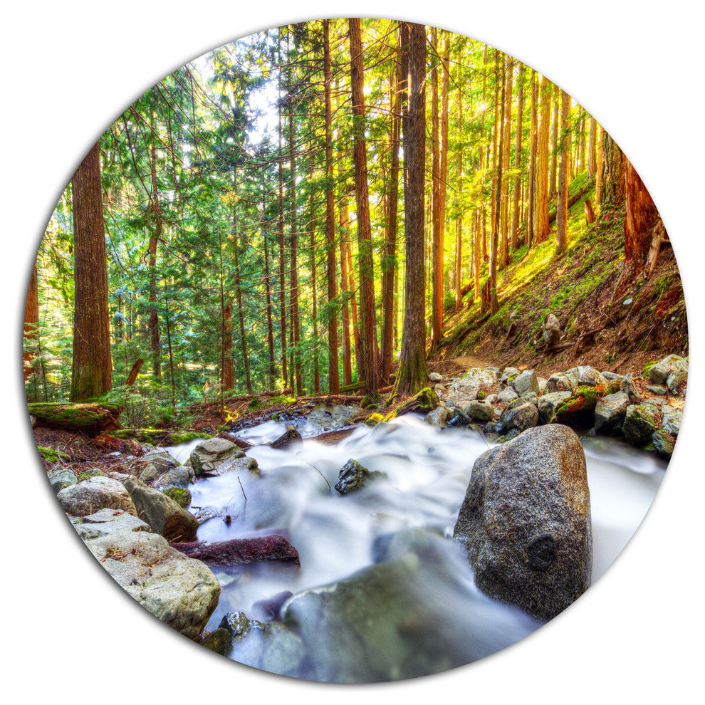 Creek Flowing Through Forest, Landscape Disc Metal Artwork, 11"