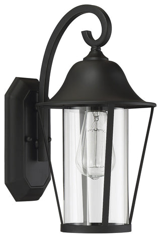 1-Light Exterior Wall Sconce, Black