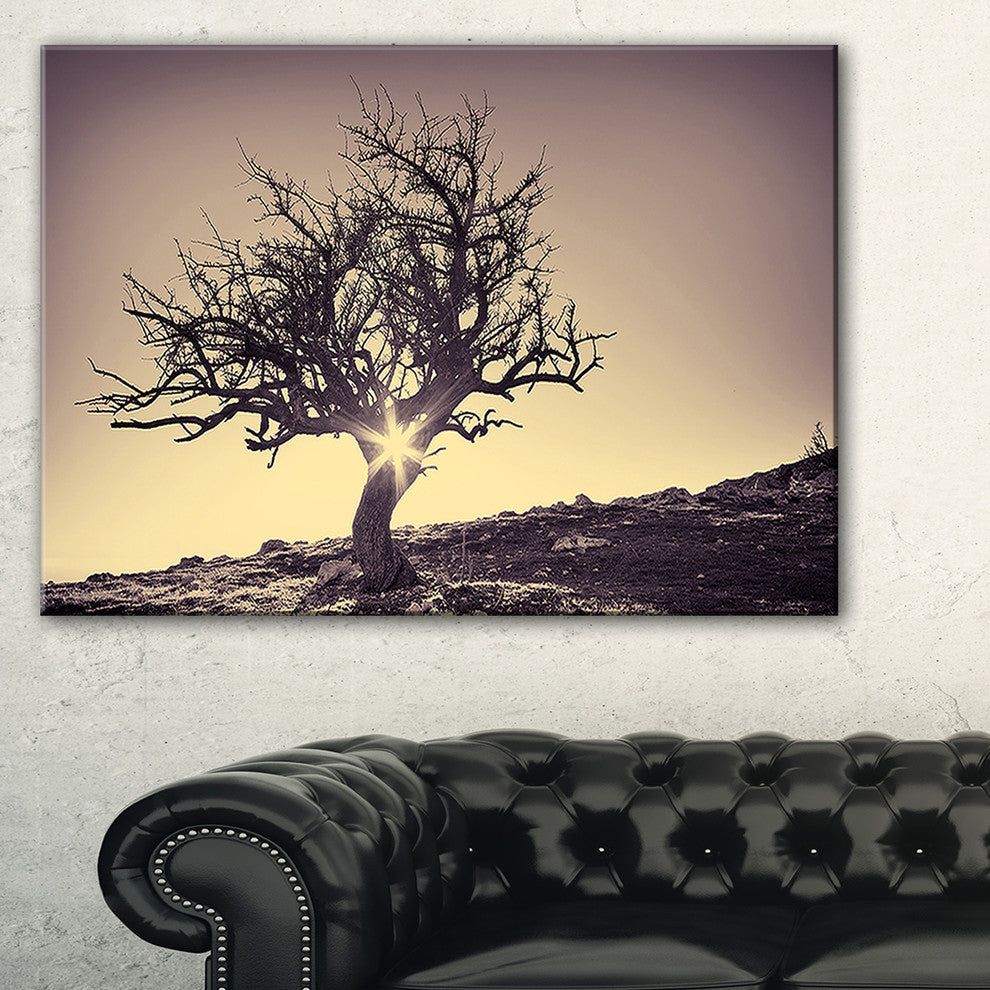 "Lonely Grey Tree in Mountain" Wall Art Landscape, 40"x20"