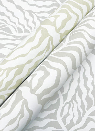 Fern Fronds Wallpaper