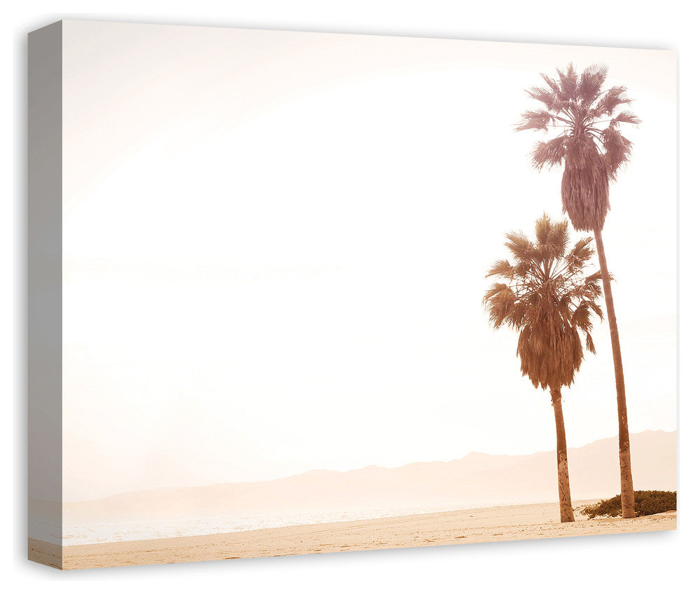 Sepia Palm Trees 16x20 Canvas Wall Art