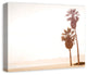 Sepia Palm Trees 16x20 Canvas Wall Art
